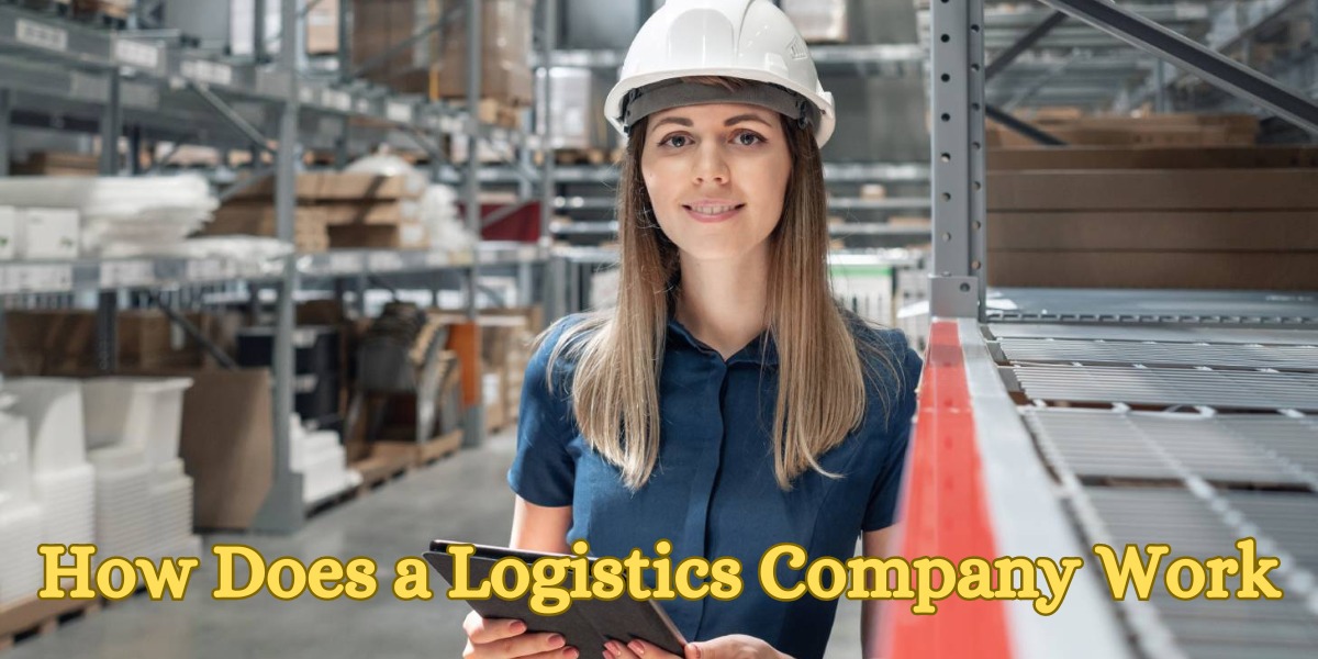How Does a Logistics Company Work