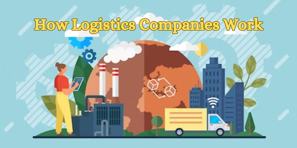 How Logistics Companies Work