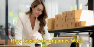 How Logistics Companies Work