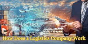 How Does a Logistics Company Work