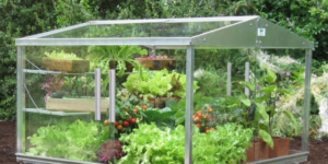 aluminium and glass cold frame