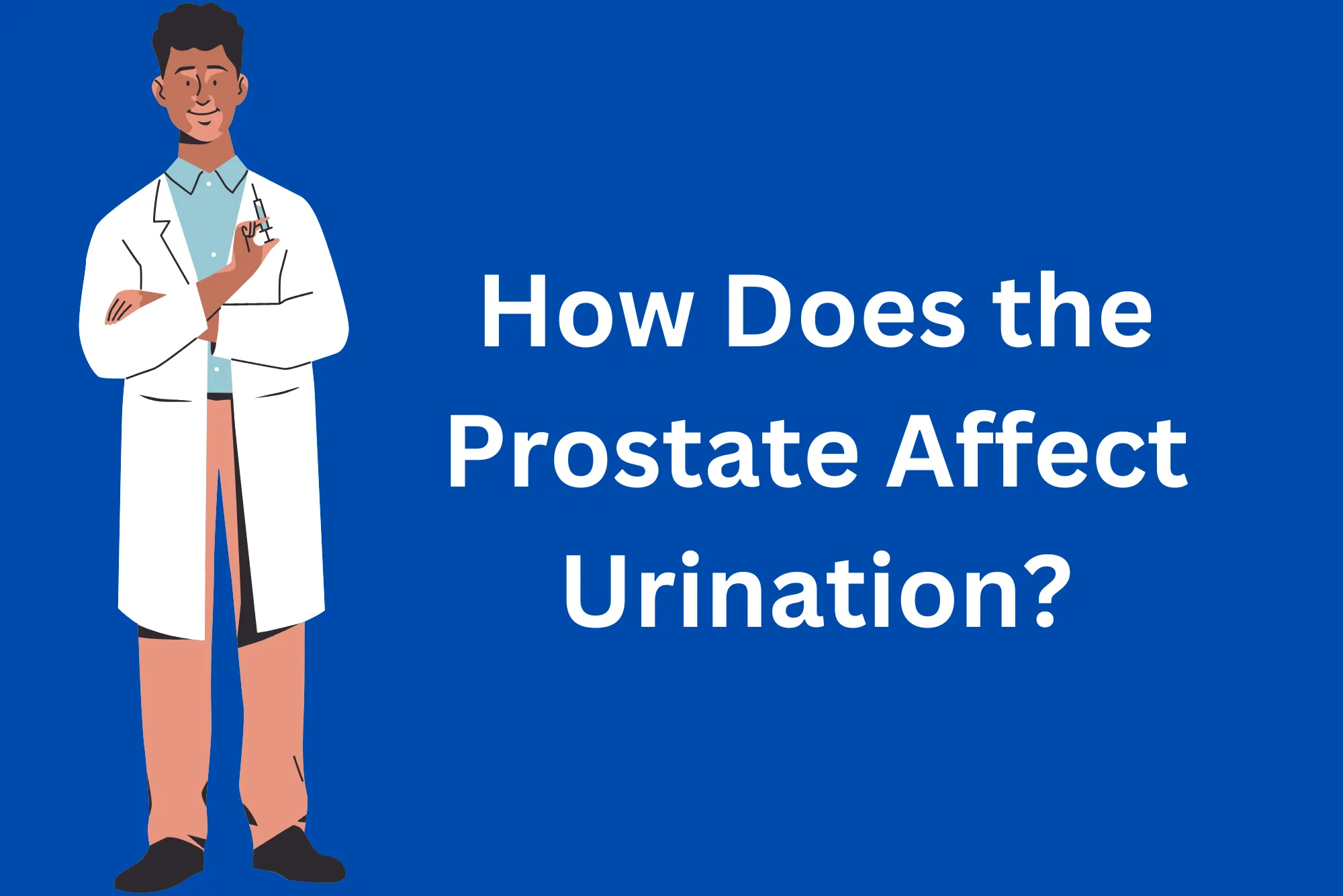 How Does the Prostate Affect Urination