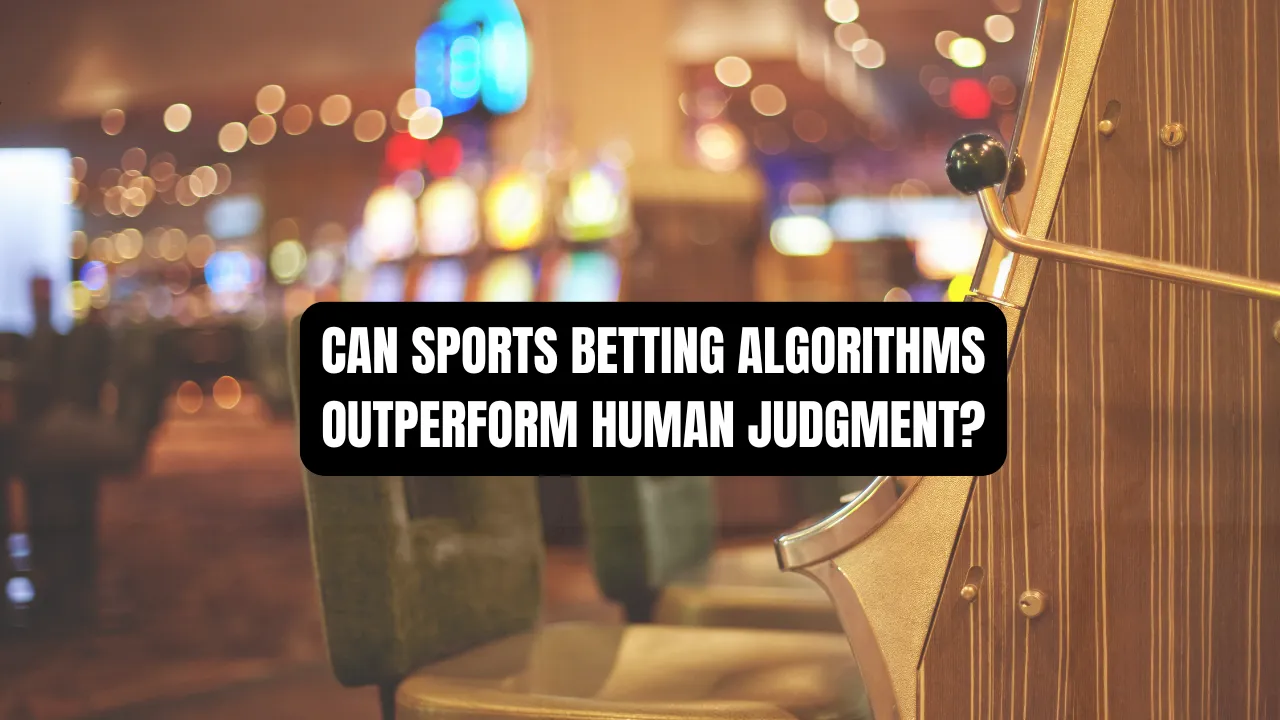 Can Sports Betting Algorithms Outperform Human Judgment?